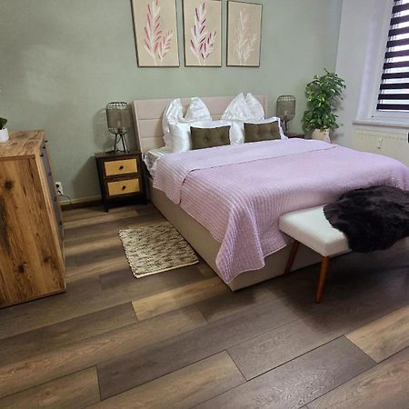 Cozy Pet-Friendly Apartment Meissen Extérieur photo